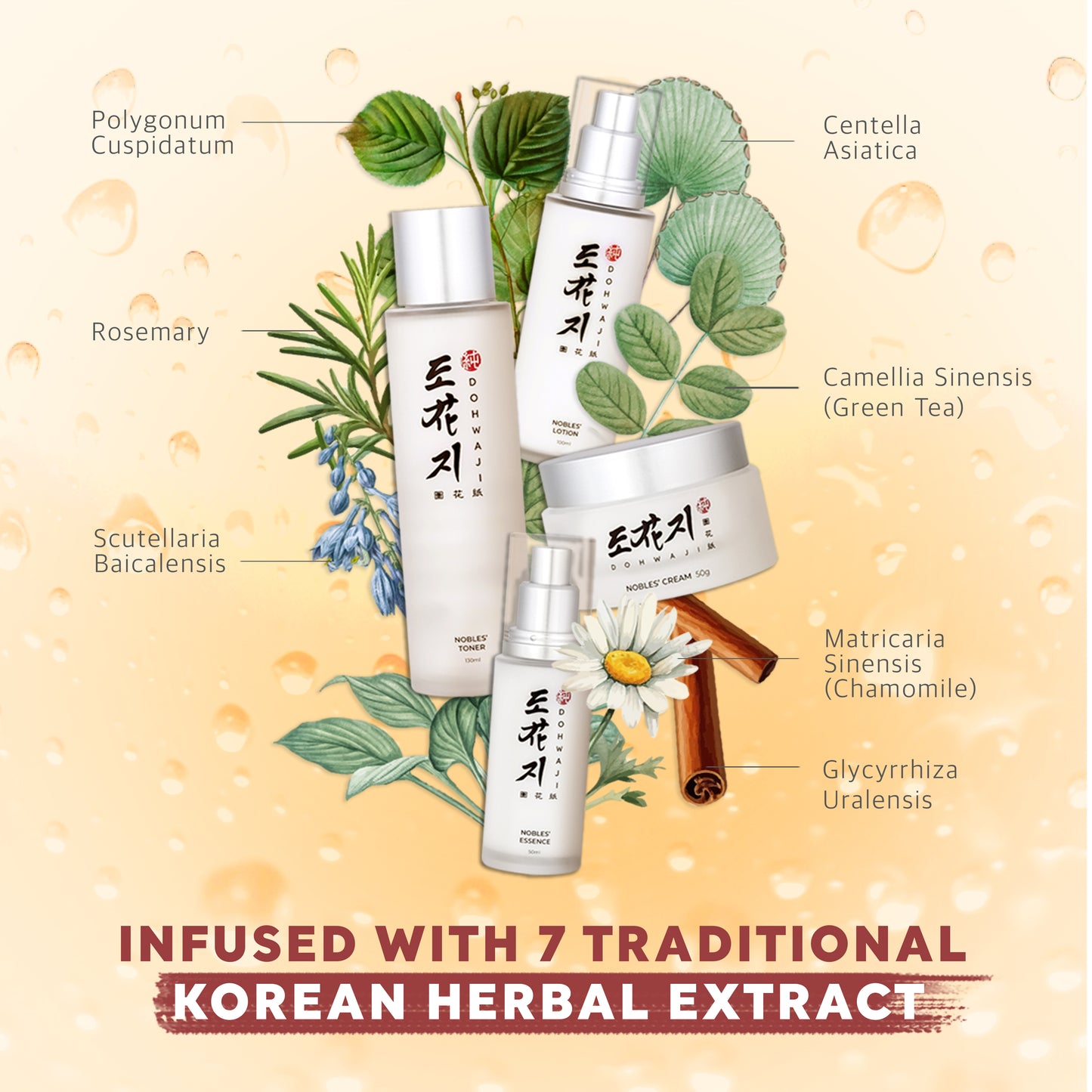 NIGHT REPAIR CREAM