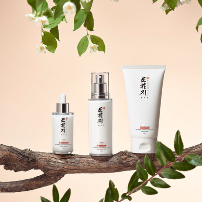 The Refreshing Set (Designed for Oily Skin)