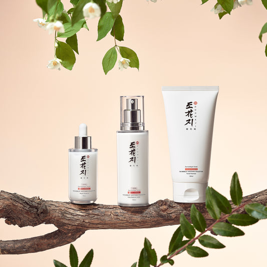 The Refreshing Set (Designed for Oily Skin)